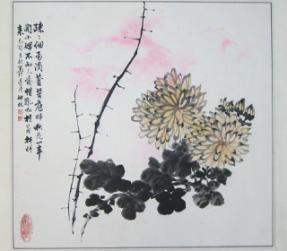 菊花圖