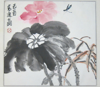 蜻蜓花圖