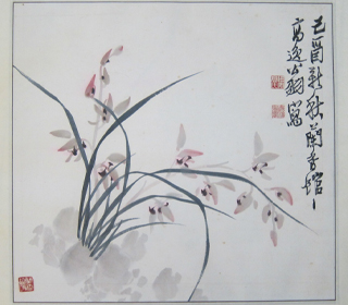 蘭花圖